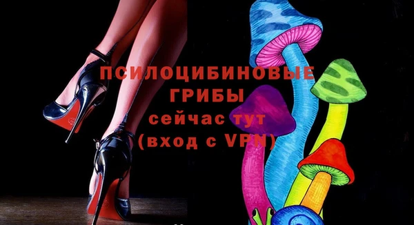 стаф Мегион