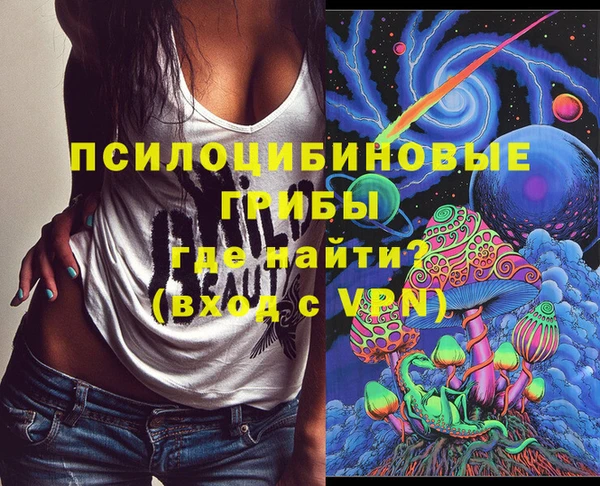 твердый Михайлов