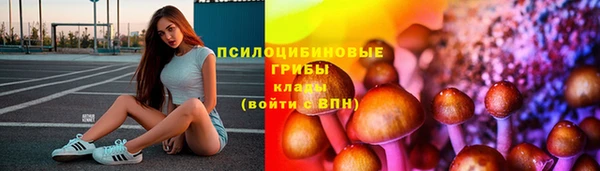 твердый Михайлов