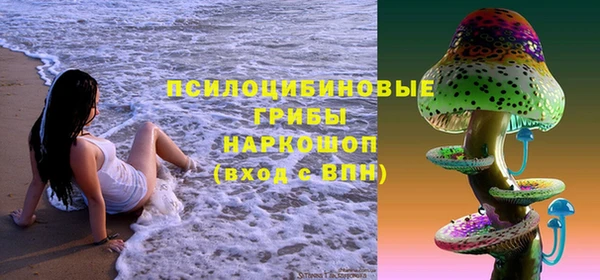 стаф Мегион