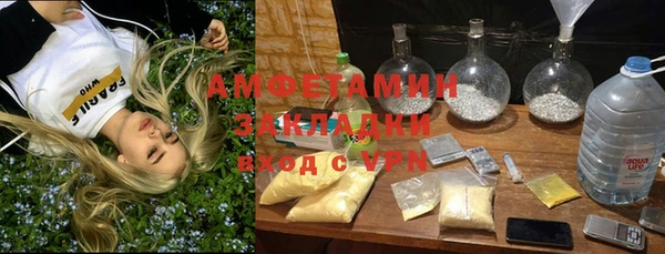 твердый Михайлов